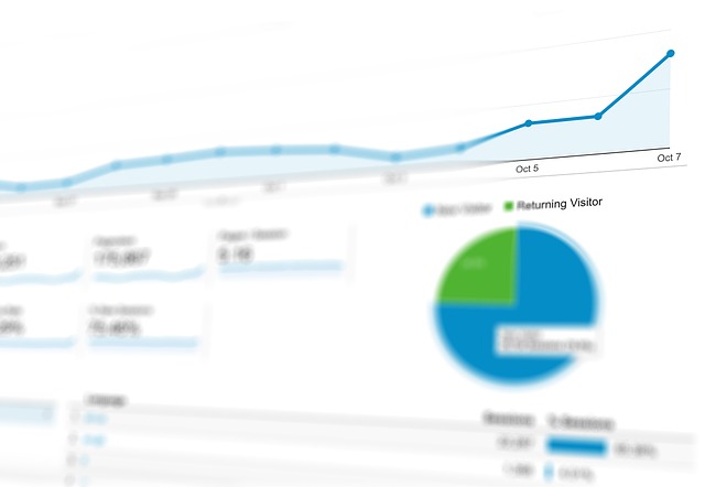 The Google Analytics graphs does not appear. What should I do